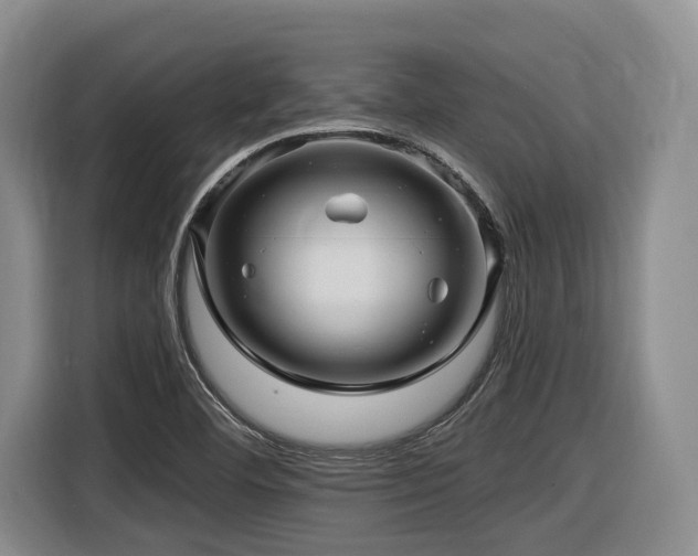 X0000116611460200912111124