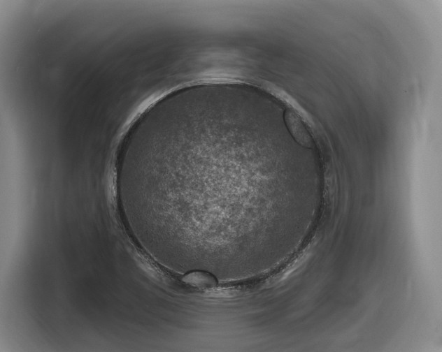 X0000116611461200912111124