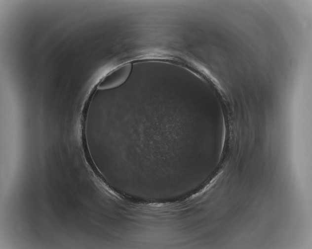 X0000116611463200912111124