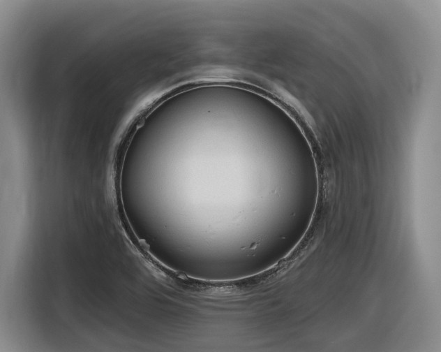 X0000116611464200912111124
