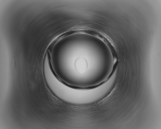 X0000116611465200912111124