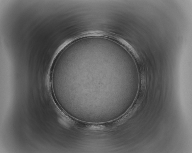 X0000116611466200912111124