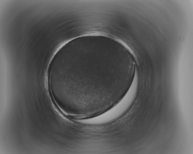 X0000116611468200912111124