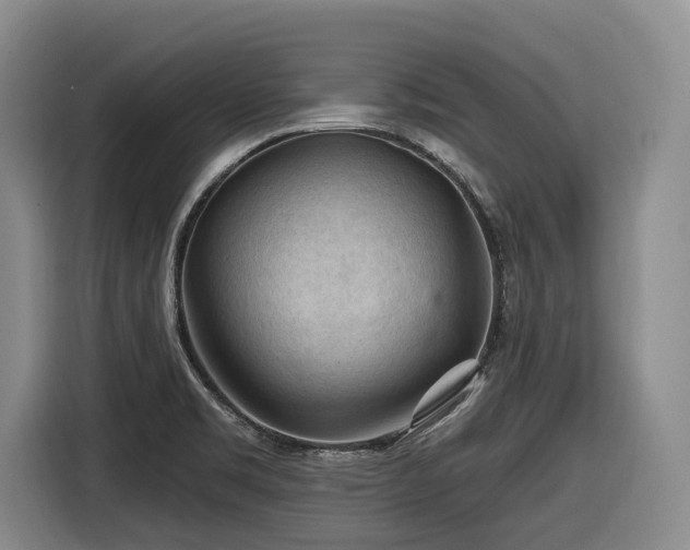 X0000116611469200912111124