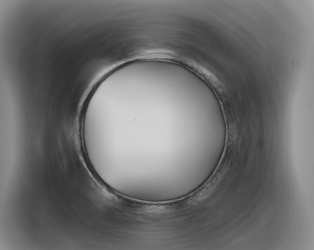 X0000116611470200912111124