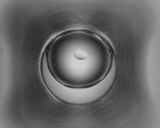 X0000116611472200912111124