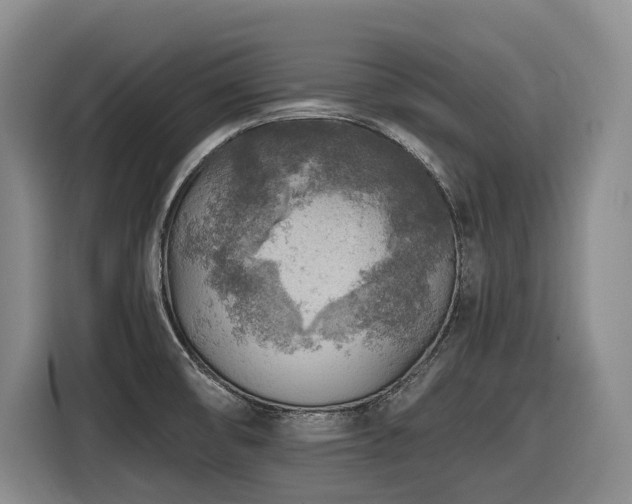 X0000116611474200912111124