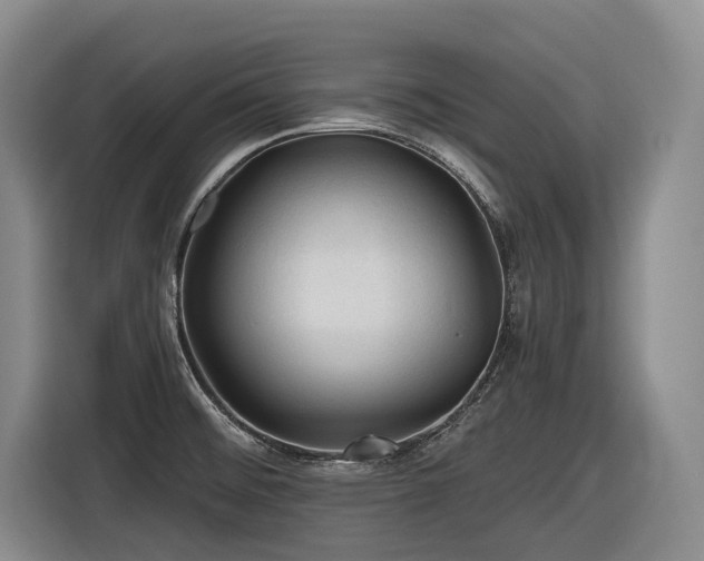X0000116611476200912111124