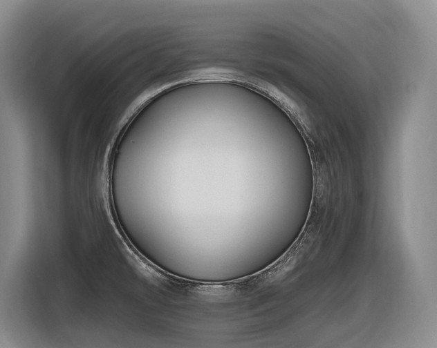 X0000116611478200912111124