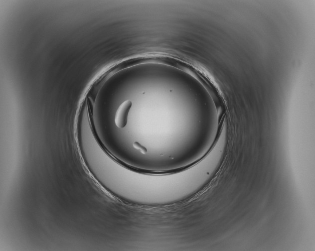 X0000116611480200912111124