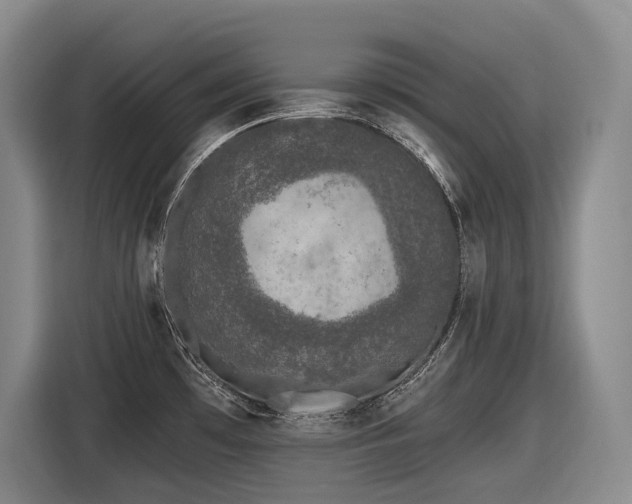 X0000116611481200912111124