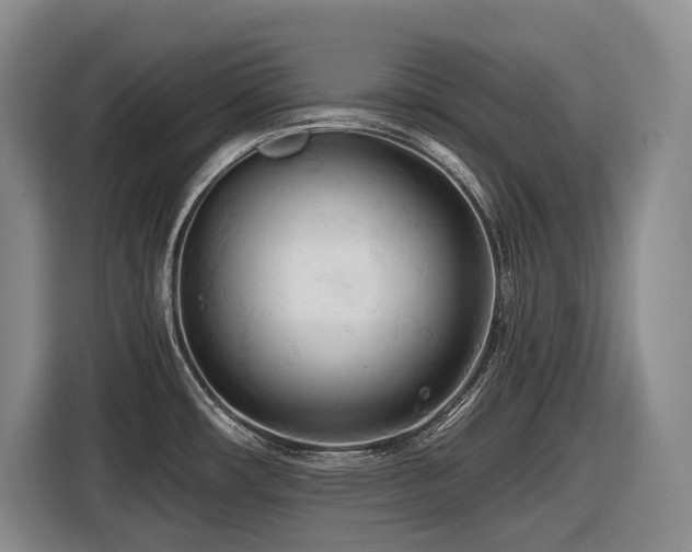 X0000116611482200912111124