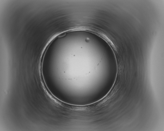 X0000116611484200912111124