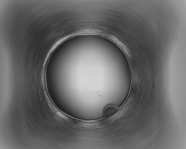 X0000116611486200912111124