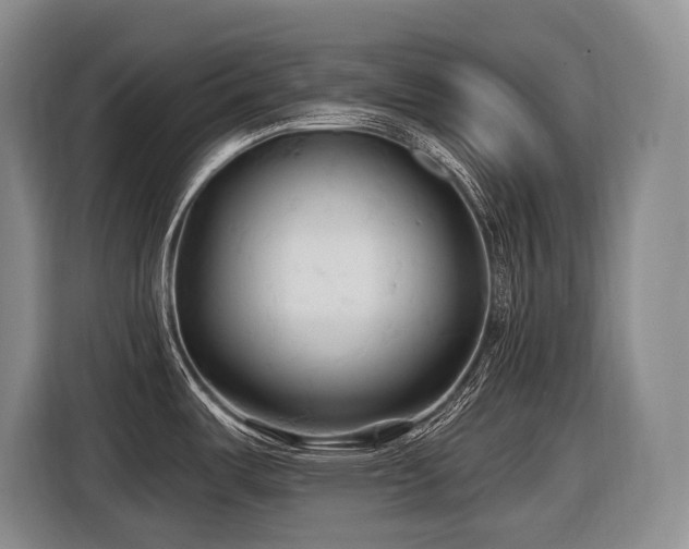X0000116611487200912111124