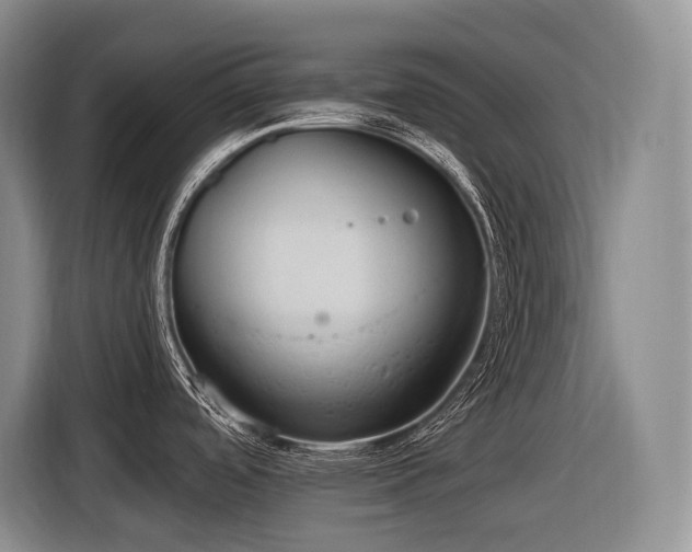 X0000116611488200912111124