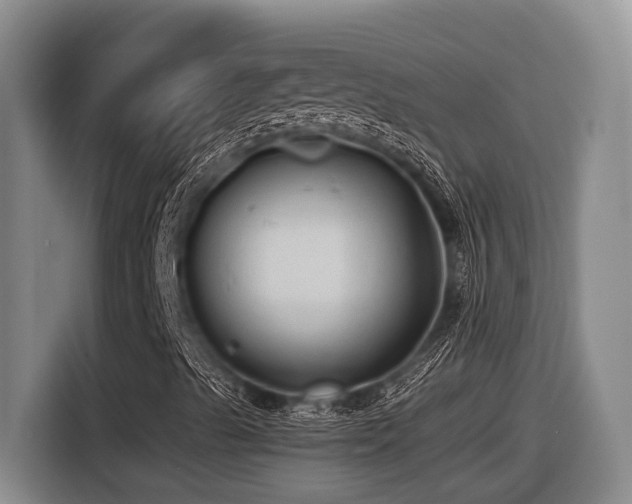 X0000116611489200912111123
