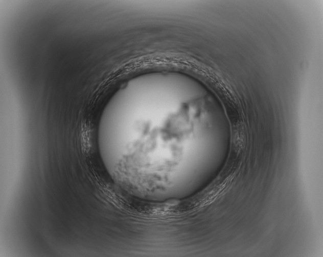 X0000116611490200912111123