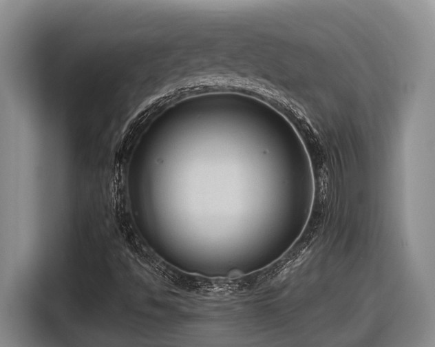 X0000116611494200912111123