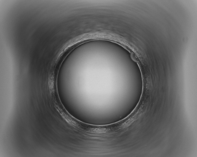 X0000116611499200912111123