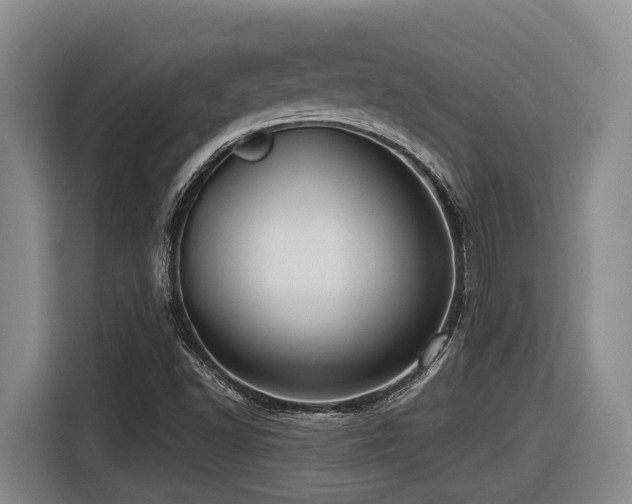 X0000116611502200912111123