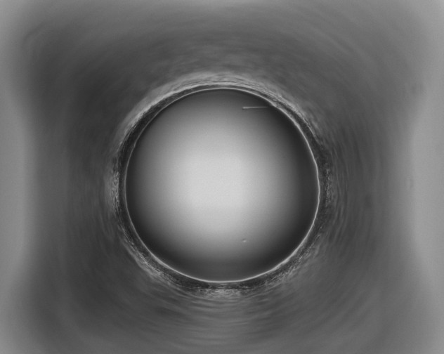 X0000116611503200912111123