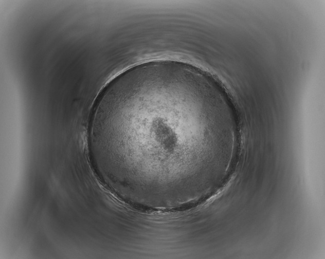 X0000116611505200912111123