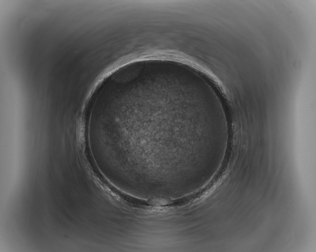 X0000116611506200912111123