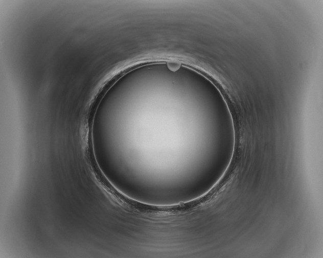 X0000116611507200912111123