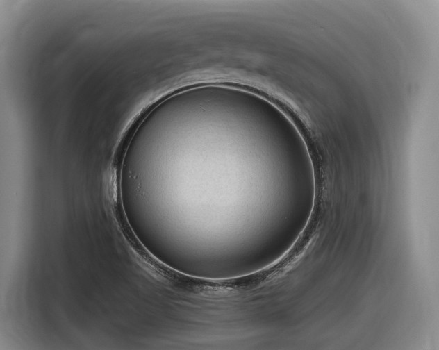 X0000116611509200912111123