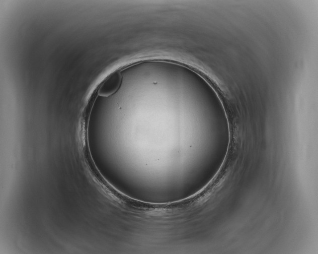 X0000116611510200912111123