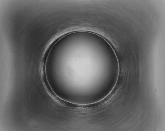X0000116611511200912111123