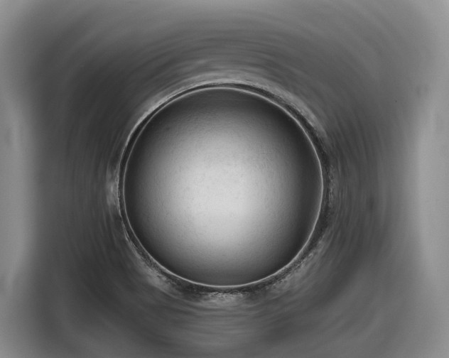 X0000116611513200912111123