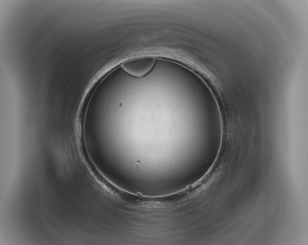 X0000116611517200912111123