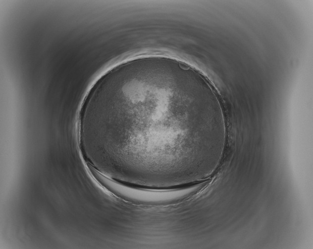 X0000116611519200912111124