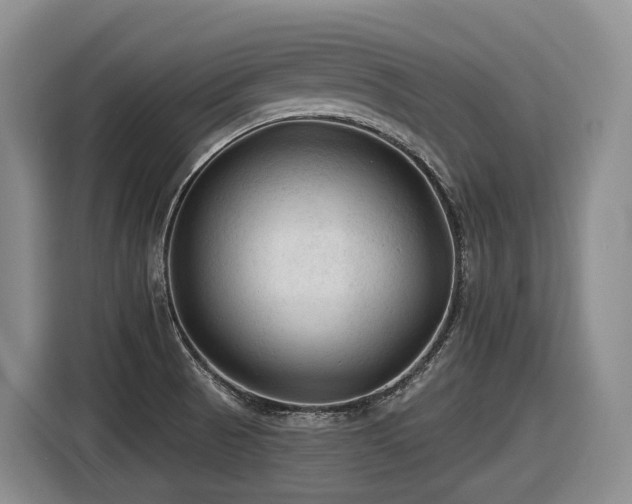 X0000116611521200912111124