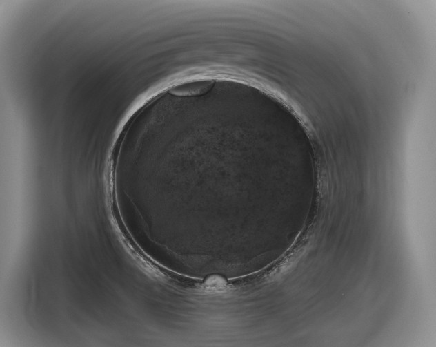 X0000116611522200912111124