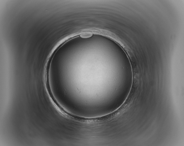 X0000116611523200912111124