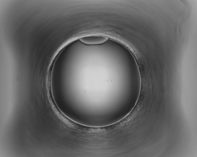 X0000116611526200912111124