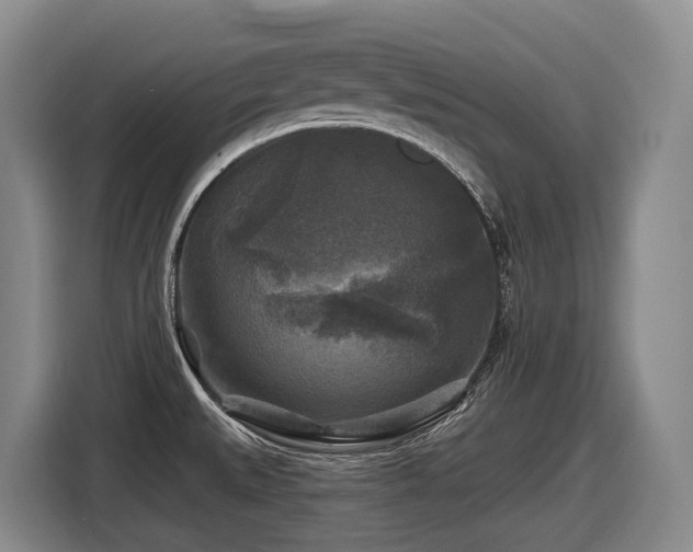 X0000116611527200912111124