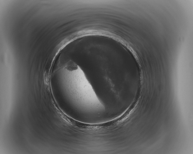 X0000116611529200912111124