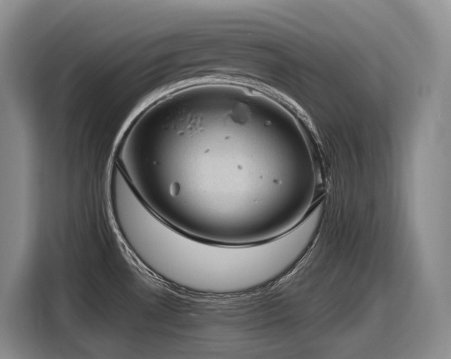 X0000116611530200912111124