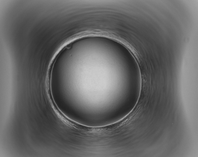 X0000116611531200912111124