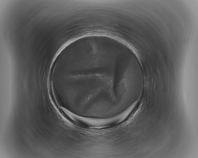 X0000116611533200912111124