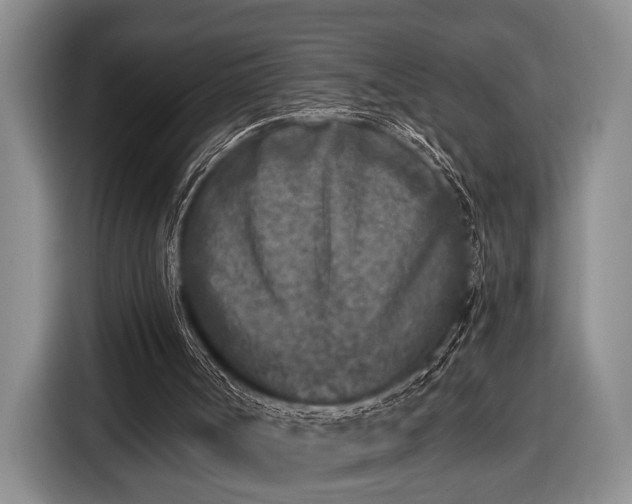 X0000116610002200912181215