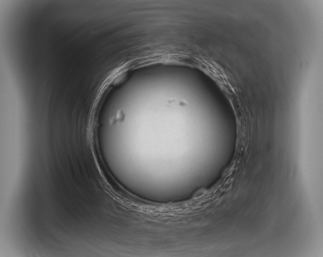 X0000116610003200912181215