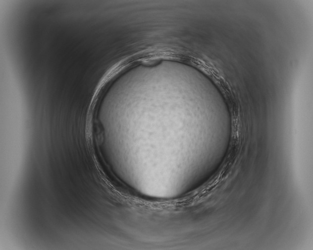 X0000116610004200912181215