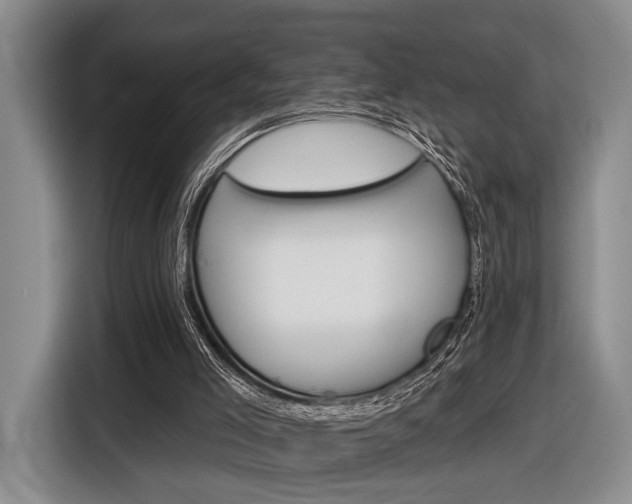 X0000116610005200912181215