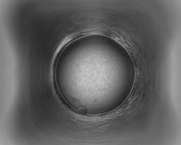 X0000116610006200912181215