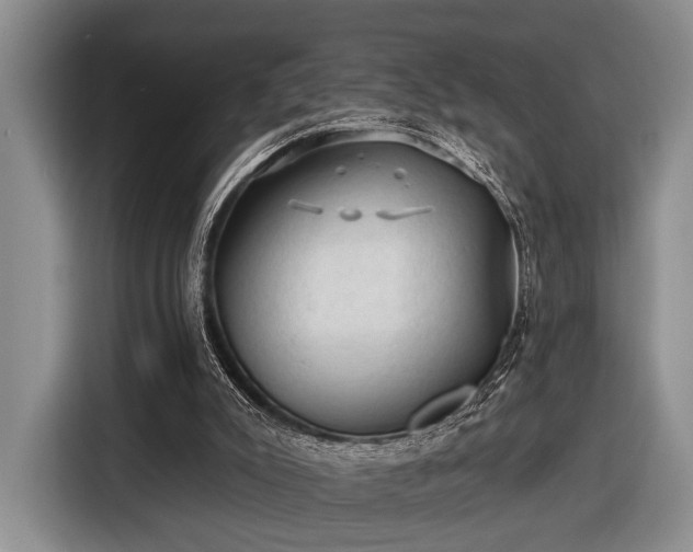 X0000116610007200912181215